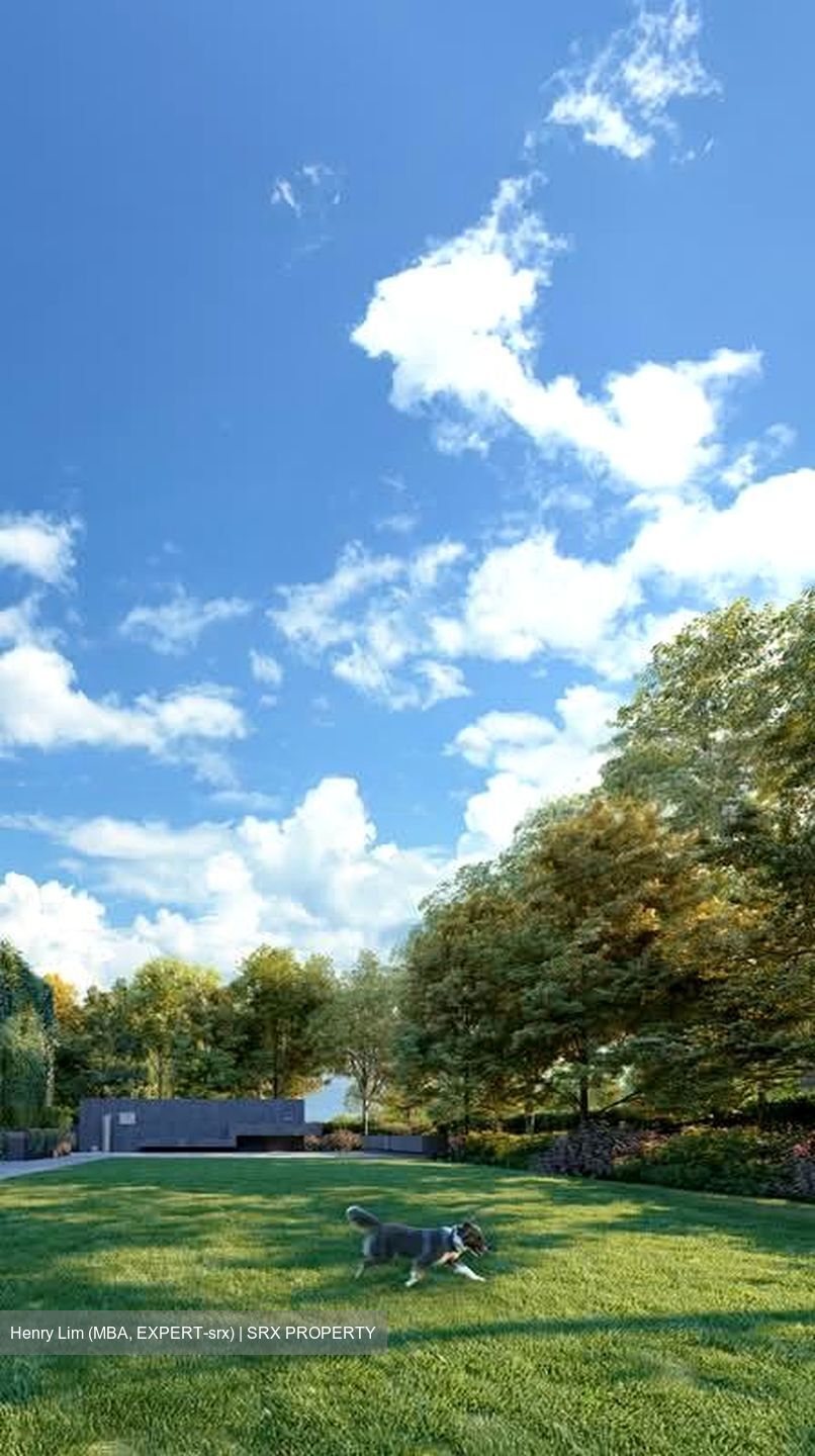 Amber House (D15), Apartment #542300471